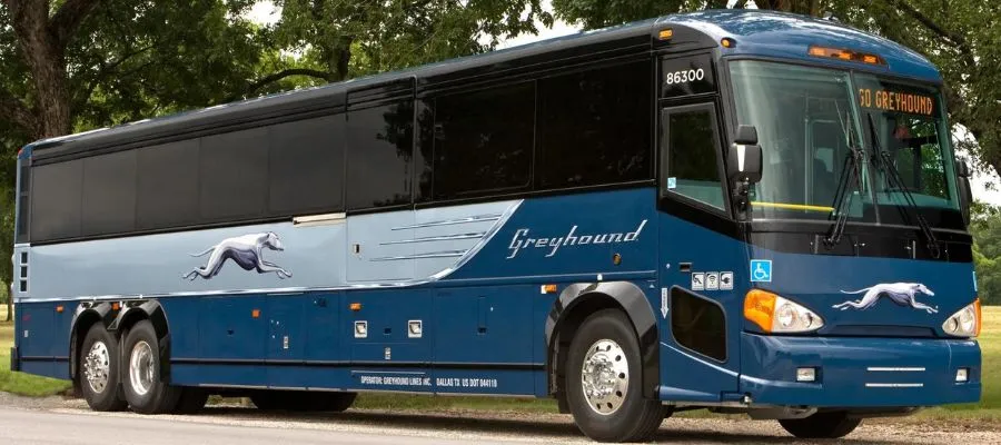 Greyhound Bus Services
