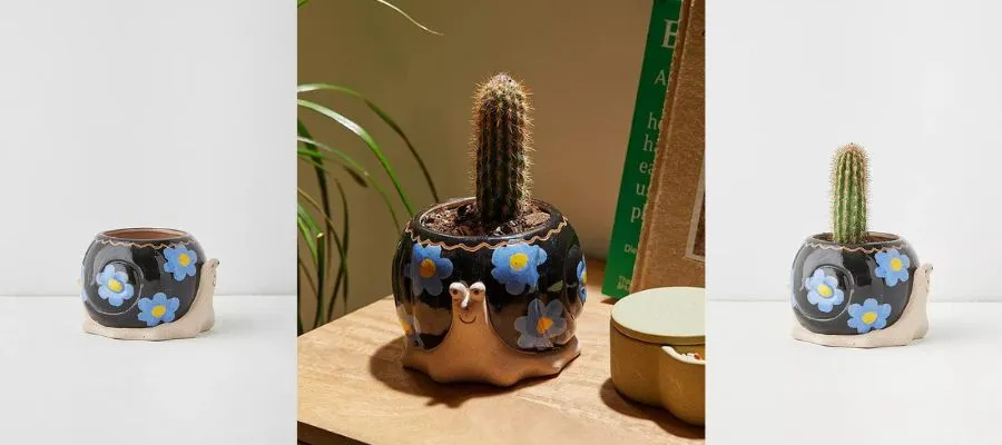 Snail Plant Pot