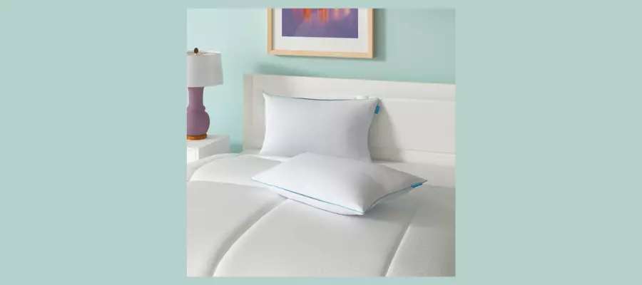 Encased Cooling Shredded Memory Foam Medium Support Pillow