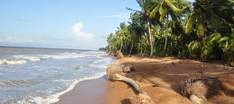 Shell Beach – Guyana