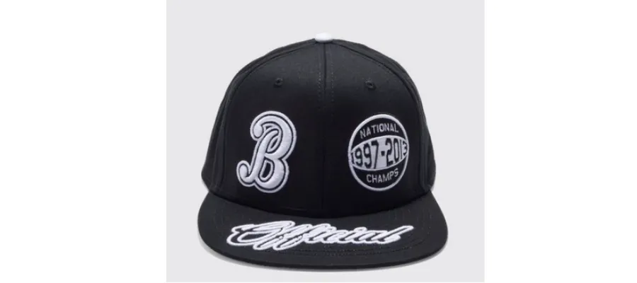 Official embroidered snapback