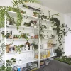 Choosing The Best Plant Shelves For Your Indoor Garden