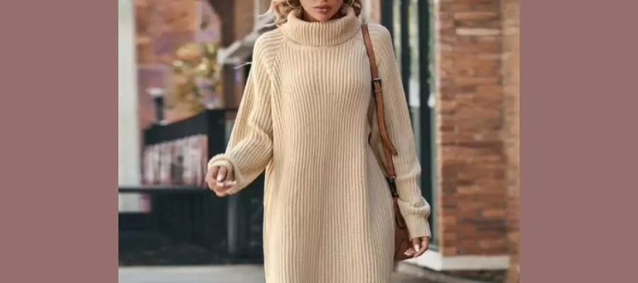 Shein Moon Raglan Sleeve Turtleneck Sweater Dress 