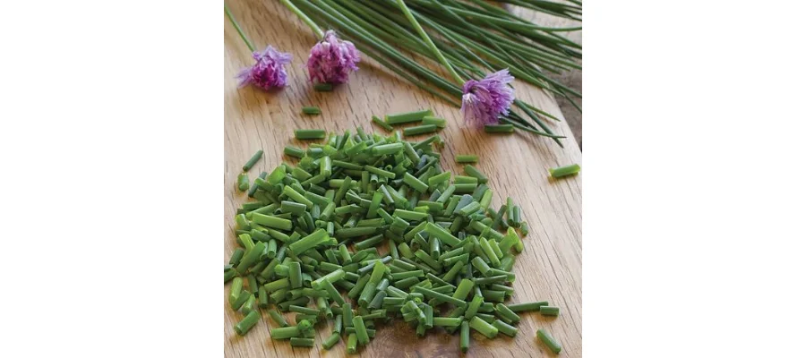 Chives Seeds