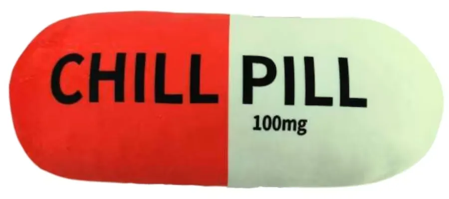 Chill pill decorative throw pillow gift for home | Hermagic
