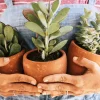 Pots for Plants