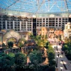 Hotels in Gaylord