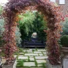 Decorative Garden Arches For Roses
