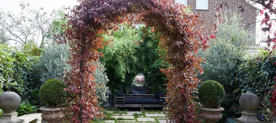 Decorative Garden Arches For Roses