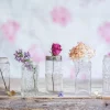 Small Glass Vases