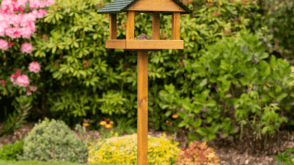 Wooden bird tables for gardens