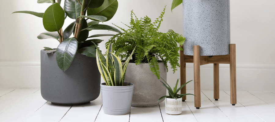 indoor Plant pot stands