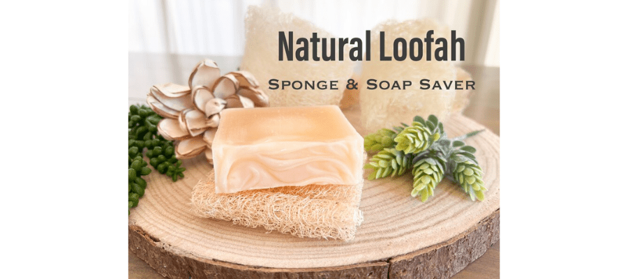 Natural Loofah sponge & soap saver