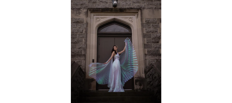 Transparent Hologram Organza Wedding Dress